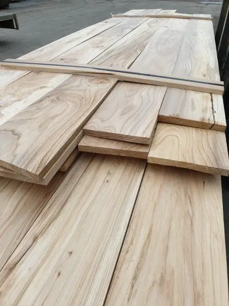 Houthandel in Leiden