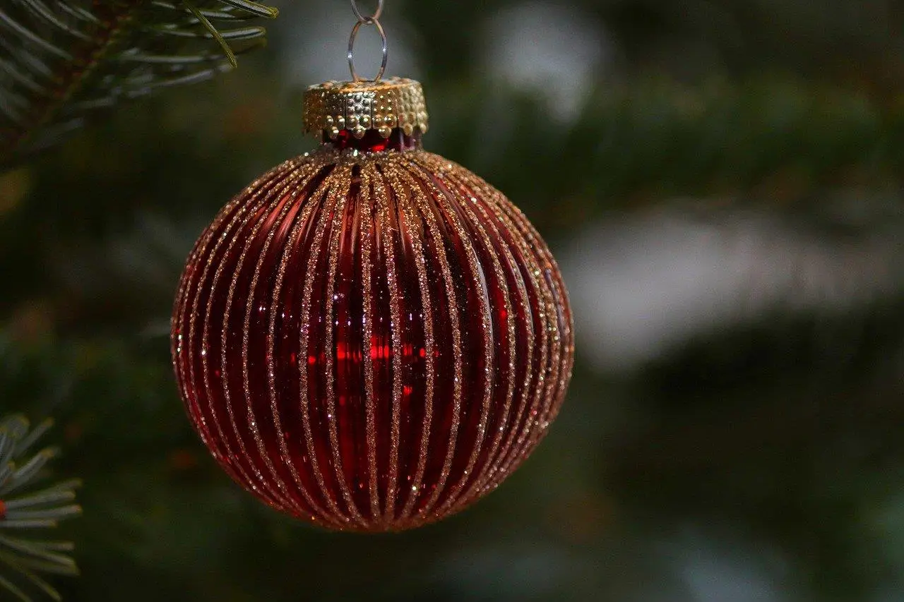 Kerstboom Leiden: Sfeer en gezelligheid thuis